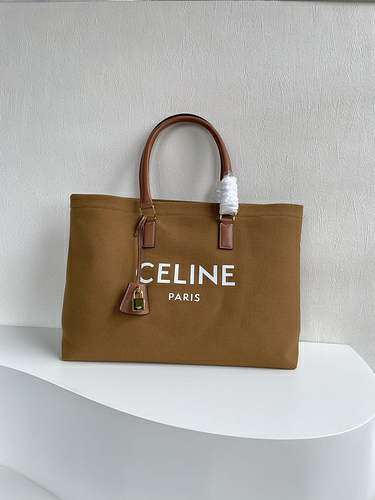 Picture of Celine Lady Handbags _SKUfw156732551fw